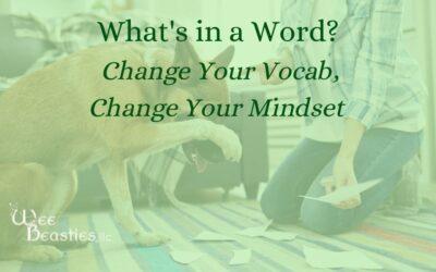 What’s in a Word? Change Your Vocab, Change Your Mindset